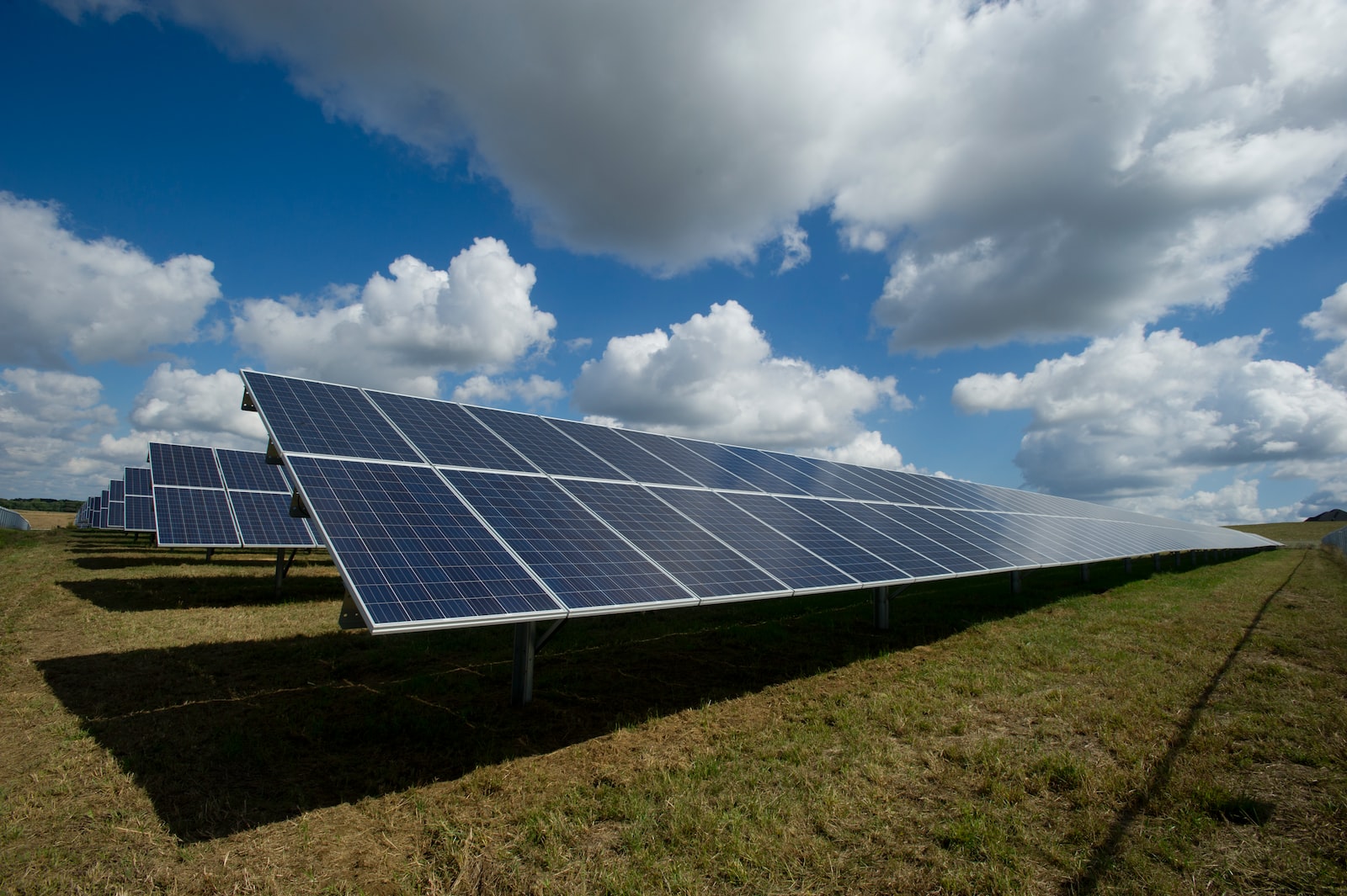 Photo by American Public Power Association solar panels on green field